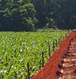 Agricultural Land Services | Central Carolina Seeding
