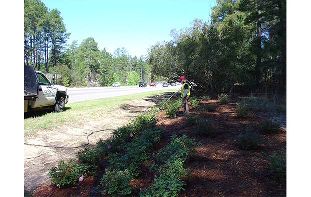 Landscaping and Maintenance | Central Carolina Seeding